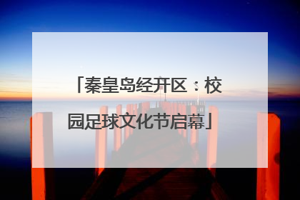 秦皇岛经开区：校园足球文化节启幕