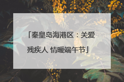 秦皇岛海港区：关爱残疾人 情暖端午节