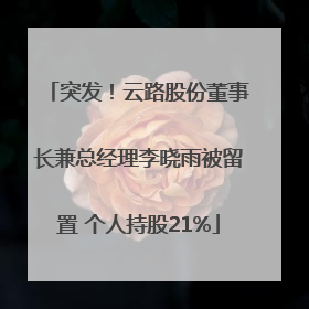 突发！云路股份董事长兼总经理李晓雨被留置 个人持股21%