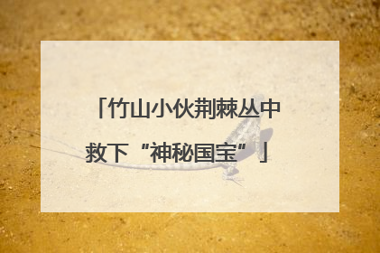 竹山小伙荆棘丛中救下“神秘国宝”