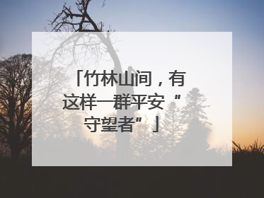 竹林山间，有这样一群平安“守望者”