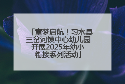 童梦启航！习水县三岔河镇中心幼儿园开展2025年幼小衔接系列活动