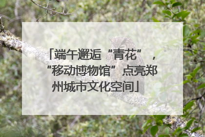 端午邂逅“青花”，“移动博物馆”点亮郑州城市文化空间