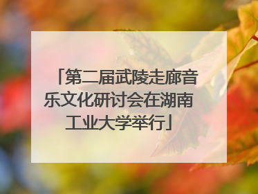 第二届武陵走廊音乐文化研讨会在湖南工业大学举行