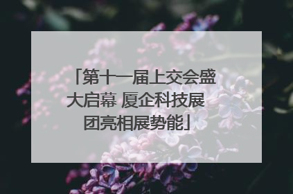 第十一届上交会盛大启幕 厦企科技展团亮相展势能