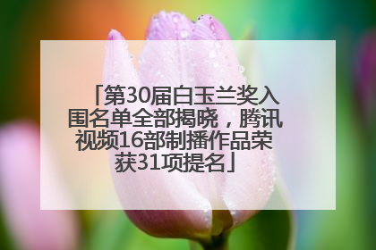 第30届白玉兰奖入围名单全部揭晓，腾讯视频16部制播作品荣获31项提名