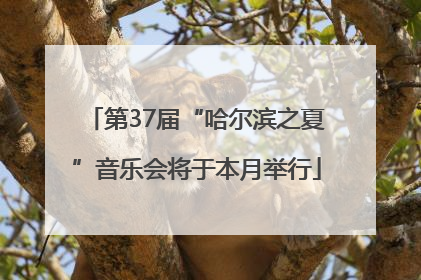 第37届“哈尔滨之夏”音乐会将于本月举行