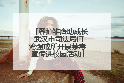 翼护雏鹰助成长 武汉市司法局何湾强戒所开展禁毒宣传进校园活动