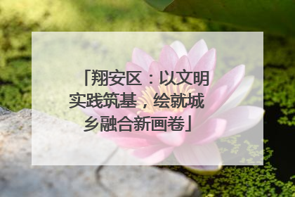 翔安区：以文明实践筑基，绘就城乡融合新画卷
