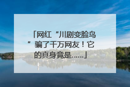 网红“川剧变脸鸟”骗了千万网友！它的真身竟是……