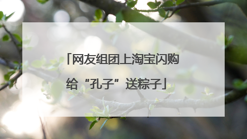 网友组团上淘宝闪购给“孔子”送粽子