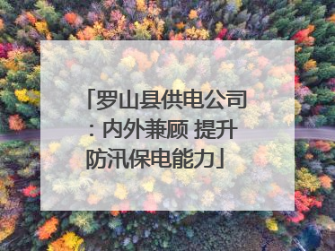 罗山县供电公司：内外兼顾 提升防汛保电能力