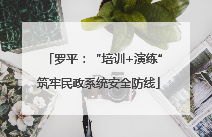 罗平：“培训+演练”筑牢民政系统安全防线