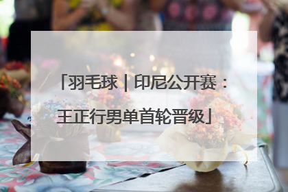 羽毛球｜印尼公开赛：王正行男单首轮晋级