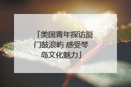 美国青年探访厦门鼓浪屿 感受琴岛文化魅力