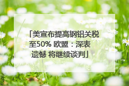 美宣布提高钢铝关税至50% 欧盟：深表遗憾 将继续谈判