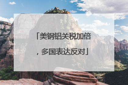 美钢铝关税加倍，多国表达反对