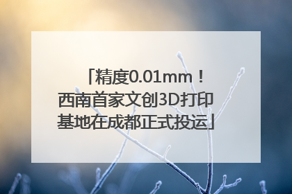 精度0.01mm！西南首家文创3D打印基地在成都正式投运