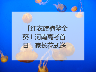 红衣旗袍擎金葵！河南高考首日，家长花式送考藏满爱与盼