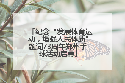 纪念“发展体育运动，增强人民体质”题词73周年郑州手球活动启幕