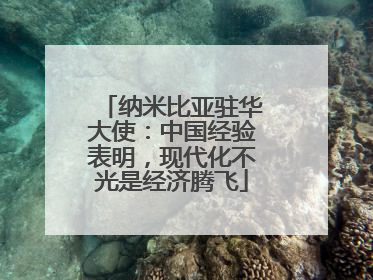 纳米比亚驻华大使：中国经验表明，现代化不光是经济腾飞