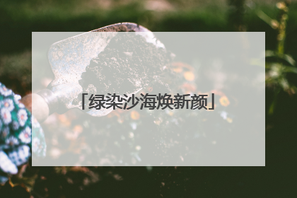 绿染沙海焕新颜