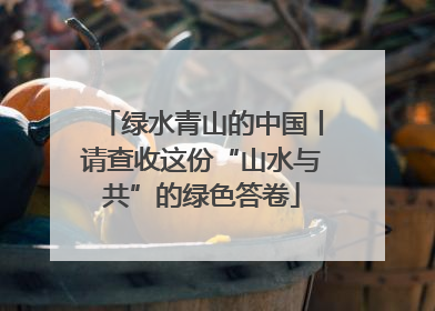 绿水青山的中国丨请查收这份“山水与共”的绿色答卷