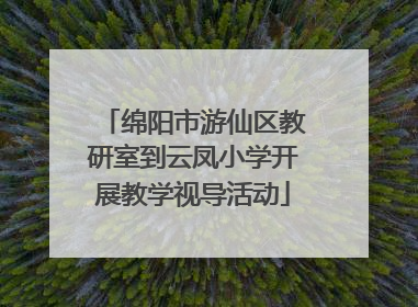 绵阳市游仙区教研室到云凤小学开展教学视导活动