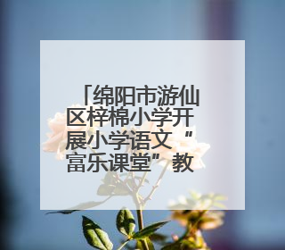 绵阳市游仙区梓棉小学开展小学语文“富乐课堂”教研活动