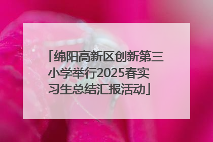 绵阳高新区创新第三小学举行2025春实习生总结汇报活动