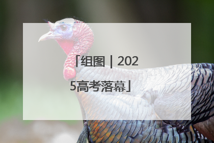 组图｜2025高考落幕