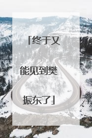 终于又能见到樊振东了
