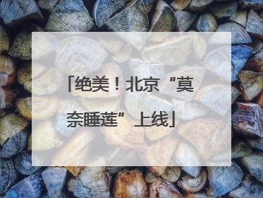 绝美！北京“莫奈睡莲”上线