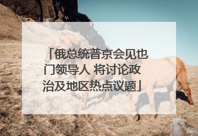 俄总统普京会见也门领导人 将讨论政治及地区热点议题