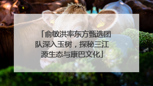 俞敏洪率东方甄选团队深入玉树，探秘三江源生态与康巴文化