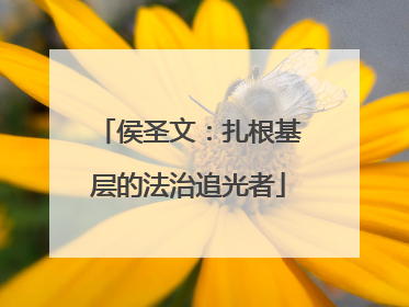 侯圣文：扎根基层的法治追光者