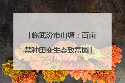 临武汾市山塘：百亩禁种田变生态致富园