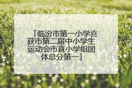 临汾市第一小学喜获市第二届中小学生运动会市直小学组团体总分第一
