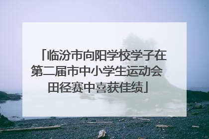 临汾市向阳学校学子在第二届市中小学生运动会田径赛中喜获佳绩