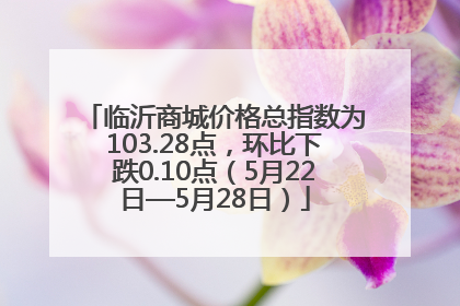 临沂商城价格总指数为103.28点，环比下跌0.10点（5月22日—5月28日）