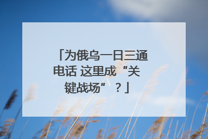为俄乌一日三通电话 这里成“关键战场”？