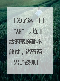 为了这一口“甜”，连干活的蜜蜂都不放过，诸暨两男子被抓