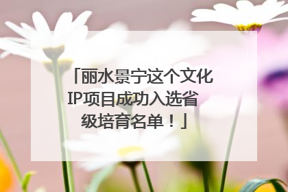 丽水景宁这个文化IP项目成功入选省级培育名单！