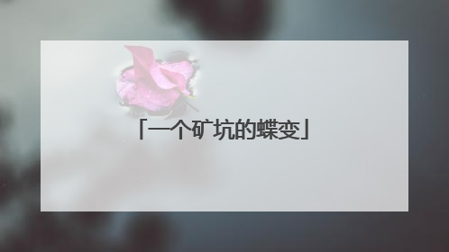 一个矿坑的蝶变