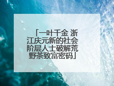 一叶千金 浙江庆元新的社会阶层人士破解荒野茶致富密码