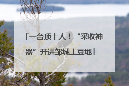 一台顶十人！“采收神器”开进邹城土豆地