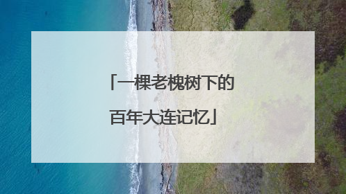 一棵老槐树下的百年大连记忆