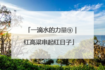 一滴水的力量⑨｜红高粱串起红日子