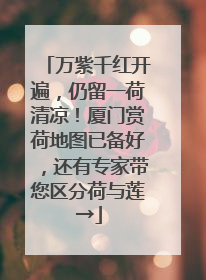 万紫千红开遍，仍留一荷清凉！厦门赏荷地图已备好，还有专家带您区分荷与莲→
