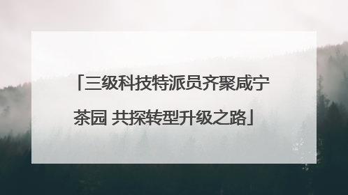 三级科技特派员齐聚咸宁茶园 共探转型升级之路